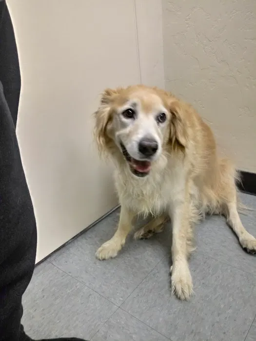 Hemet Animal Hospital Picture 7