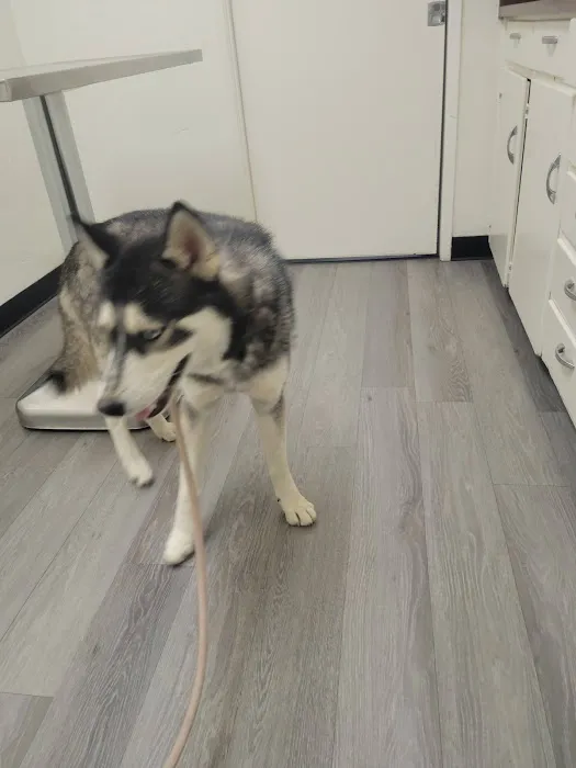 Hemet Animal Hospital Picture 8