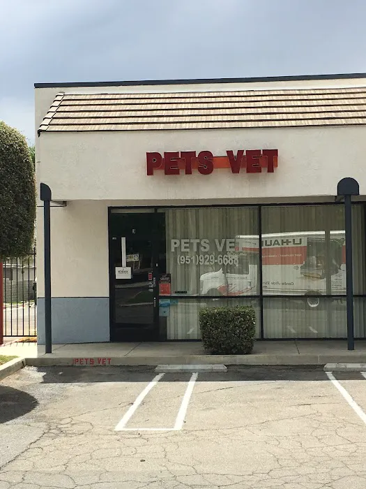 Pets Vet Veterinary Clinic Picture 4