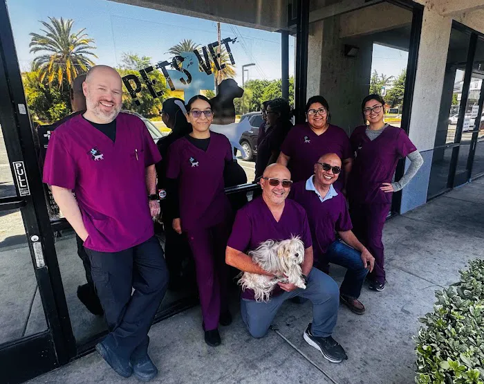 Pets Vet Veterinary Clinic Picture 10