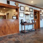 Elgin Veterinary Hospital, A Thrive Pet Healthcare Partner