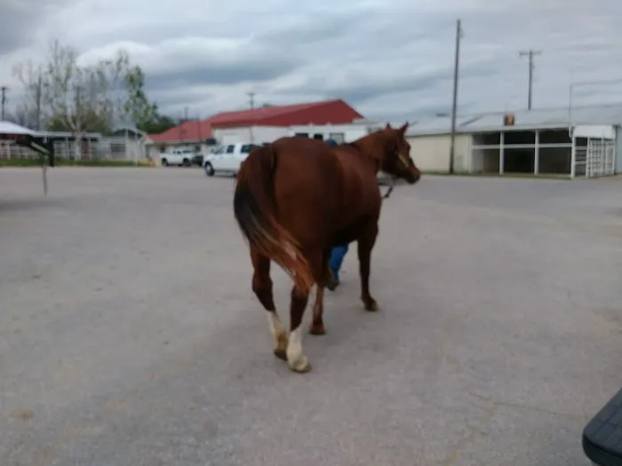Elgin Veterinary Hospital, A Thrive Pet Healthcare Partner Picture 5