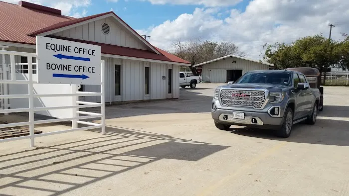 Elgin Veterinary Hospital, A Thrive Pet Healthcare Partner Picture 4