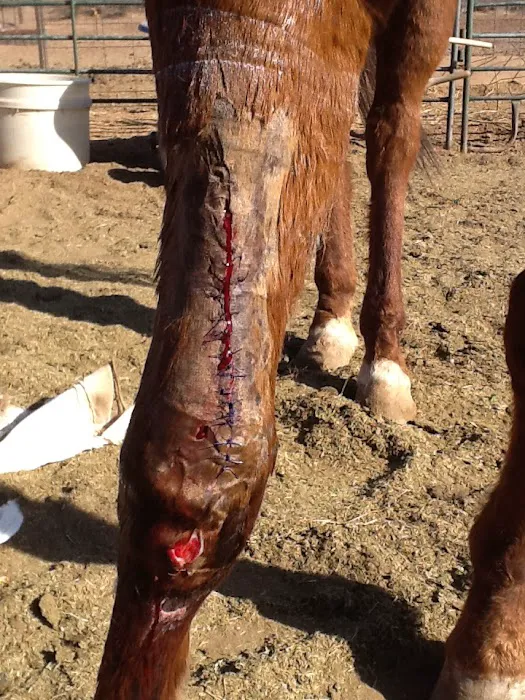JLC Veterinary Service Picture 3