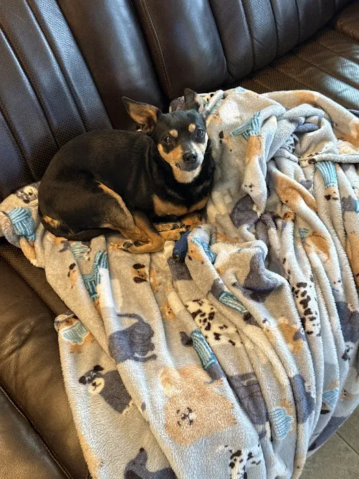 Manor Veterinary Hospital Picture 9