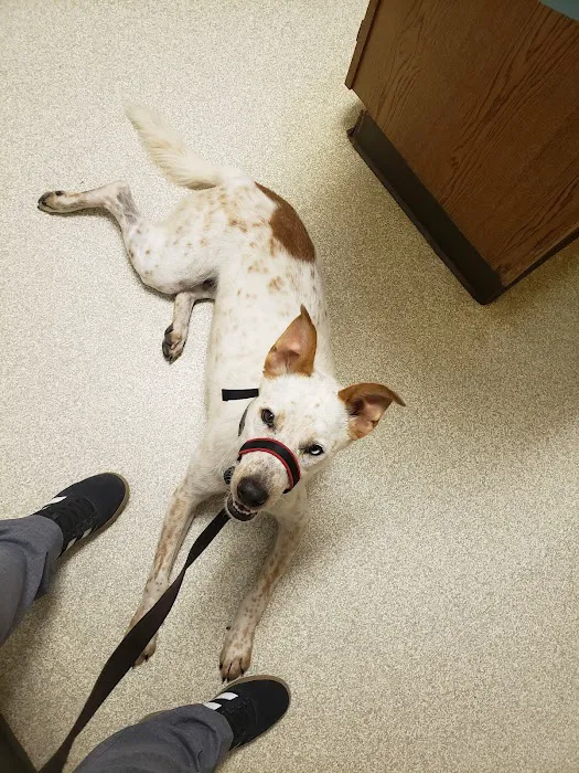 Highway 71 Veterinary Hospital Picture 3