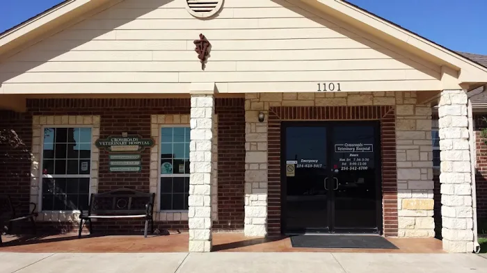 Crossroads Veterinary Hospital Picture 7