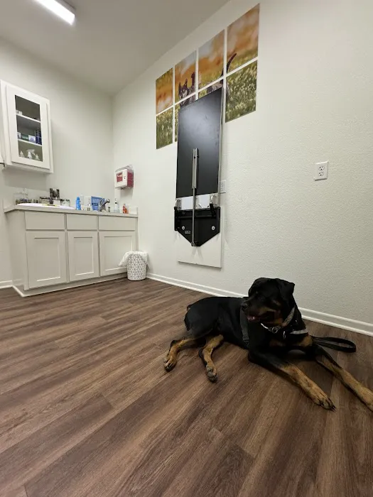 Crossroads Veterinary Hospital Picture 8