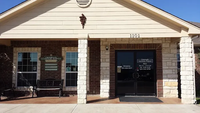 Crossroads Veterinary Hospital Picture 10