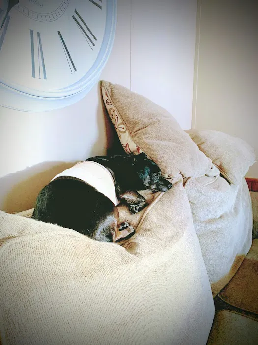 Haughton Animal Hospital Picture 7