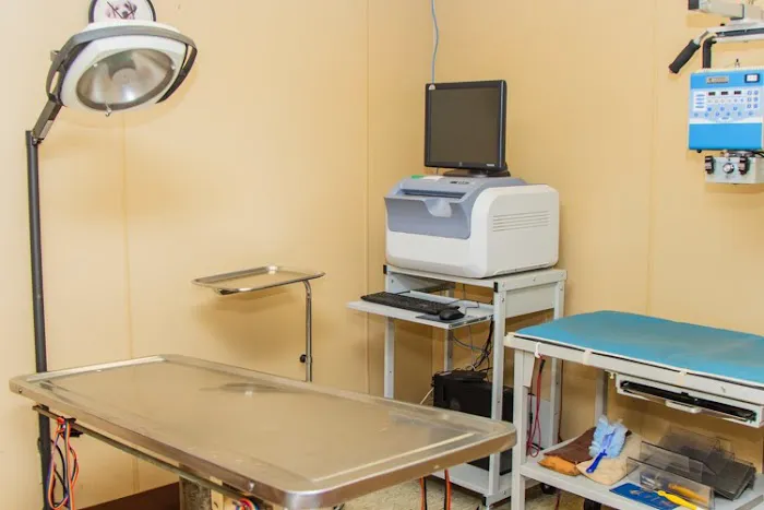 Haughton Animal Hospital Picture 4