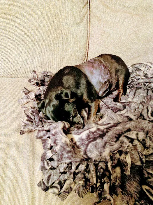 Haughton Animal Hospital Picture 5