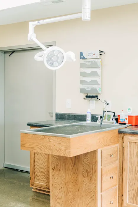 Southcentral Veterinary Services Picture 8