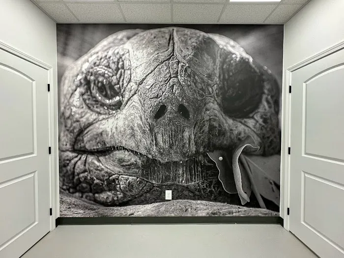WildThings Animal Hospital Picture 5