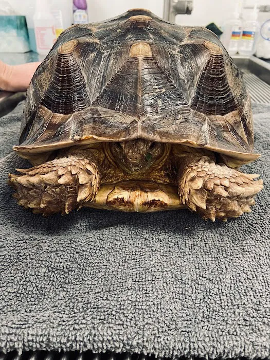 WildThings Animal Hospital Picture 7