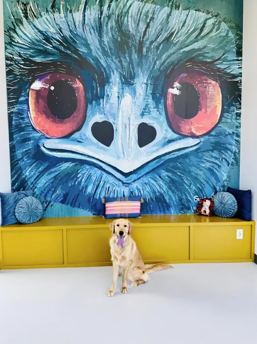 WildThings Animal Hospital Picture 8