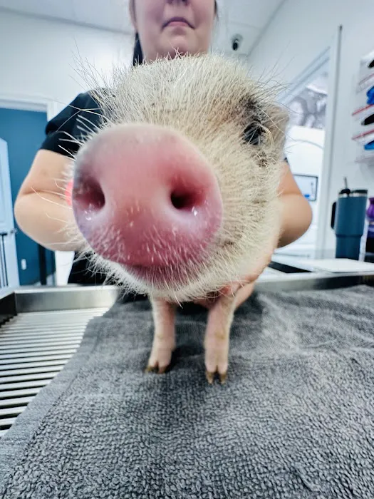 WildThings Animal Hospital Picture 10