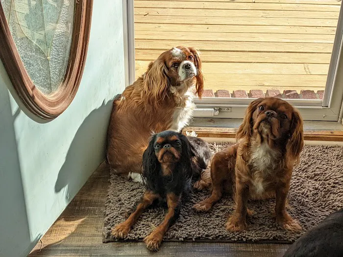 Pleasant View Animal Hospital Picture 8