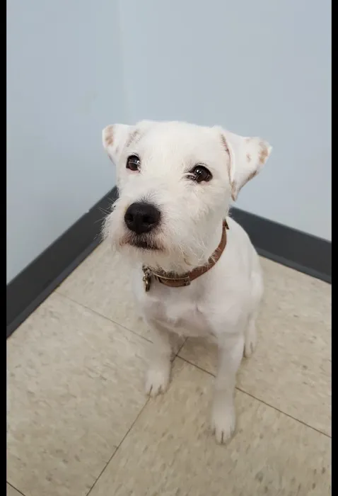 Pleasant View Animal Hospital Picture 10