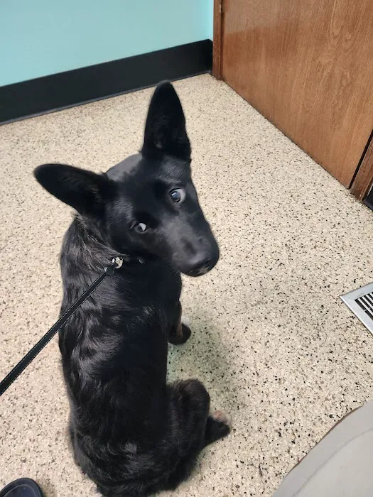 Cheatham County Animal Clinic Picture 8