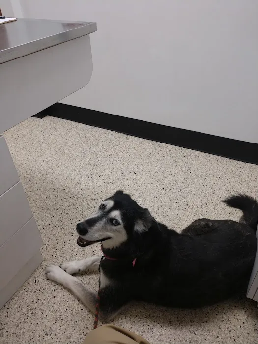 Cheatham County Animal Clinic Picture 7