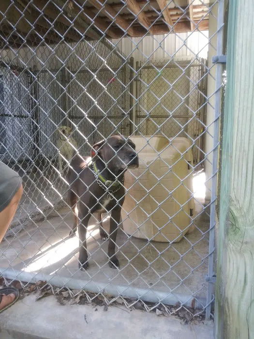 Nashville Road Animal Hospital Picture 4