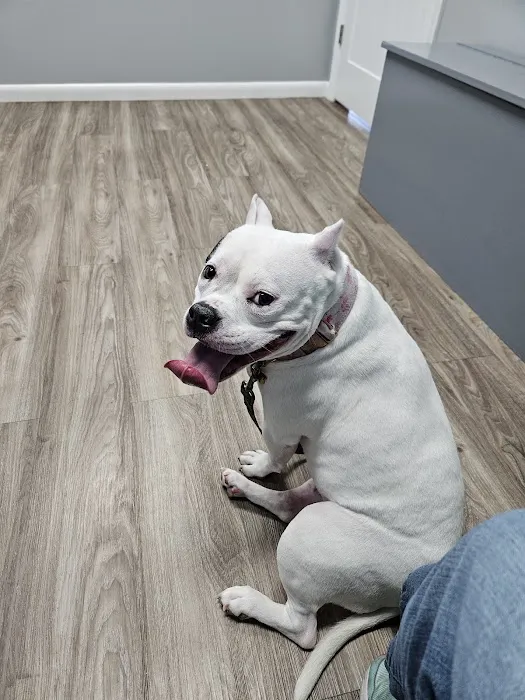 Nashville Road Animal Hospital Picture 6