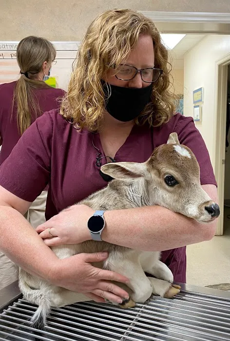 Pell City Animal Hospital Picture 2