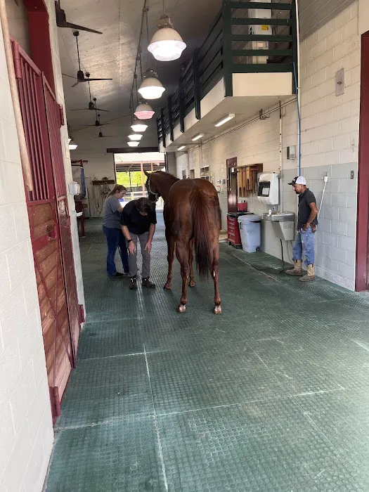 Coosa Valley Equine Center Picture 2