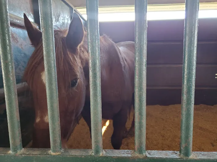 Coosa Valley Equine Center Picture 1