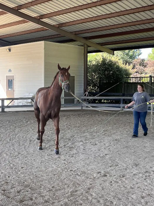 Coosa Valley Equine Center Picture 6