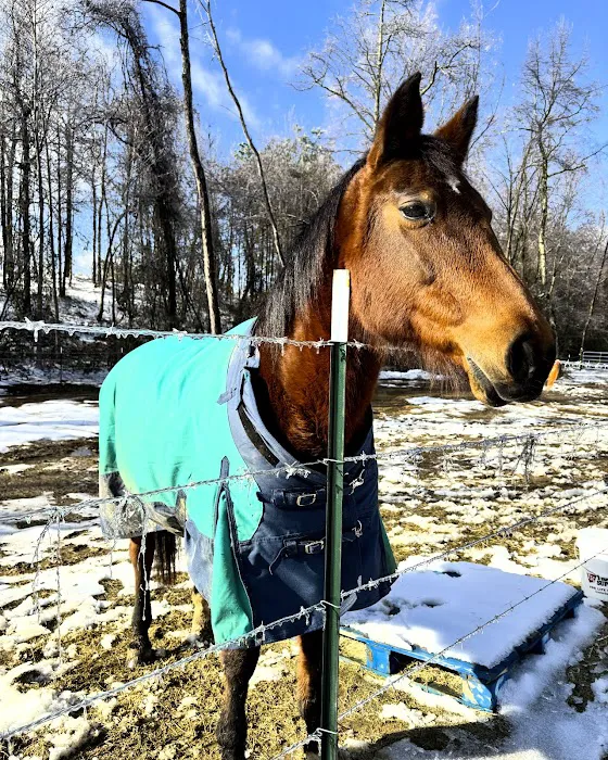 Coosa Valley Equine Center Picture 5