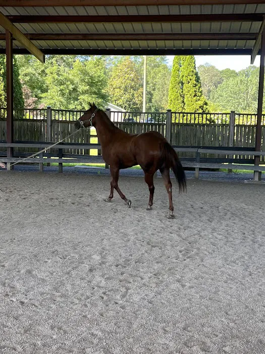 Coosa Valley Equine Center Picture 7