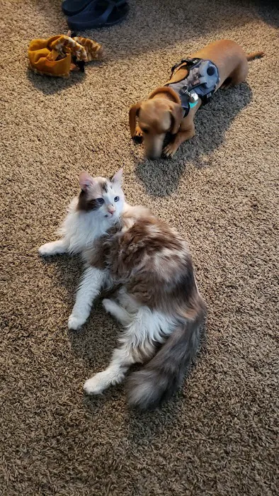 Twin Creek Veterinary Services Picture 5