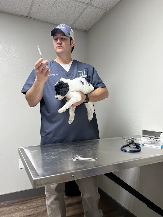 Wedowee Animal Hospital Picture 4