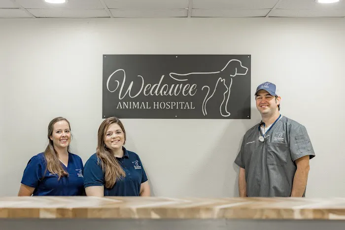 Wedowee Animal Hospital Picture 6