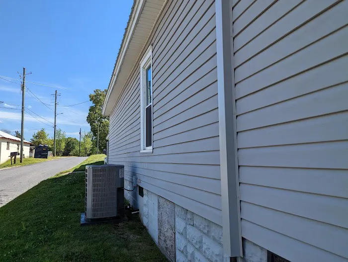 Main Street Animal Hospital Picture 4