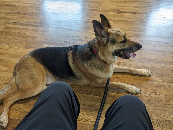 Bowdon Animal Hospital Picture 5
