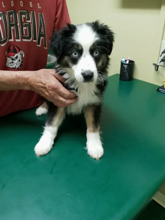 Animal Medical Center Picture 9