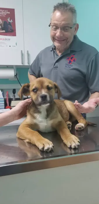 Childersburg Pet Clinic PC Picture 6