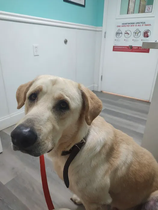 Childersburg Pet Clinic PC Picture 8