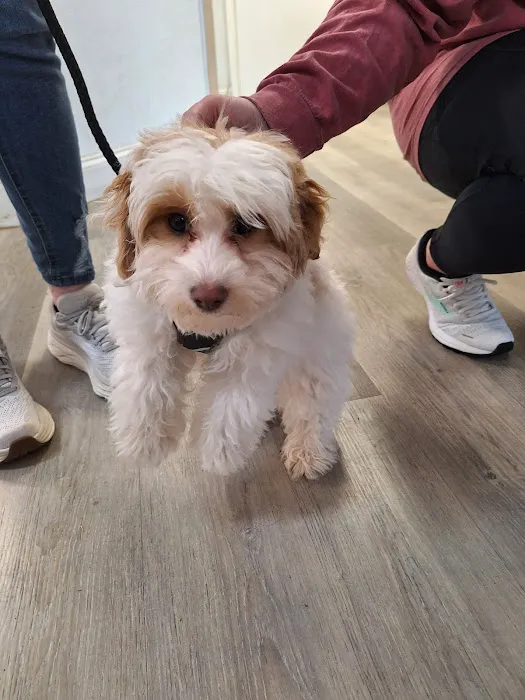 Childersburg Pet Clinic PC Picture 9