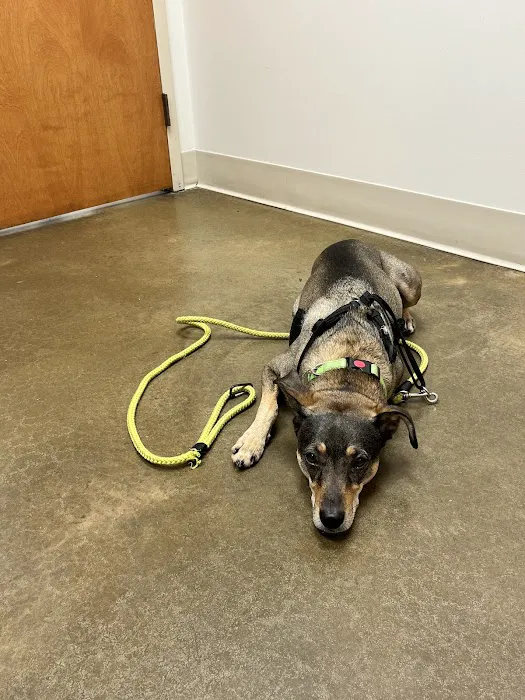 Crossroads Animal Hospital Picture 4