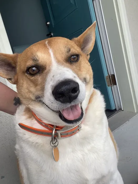 Crossroads Animal Hospital Picture 8