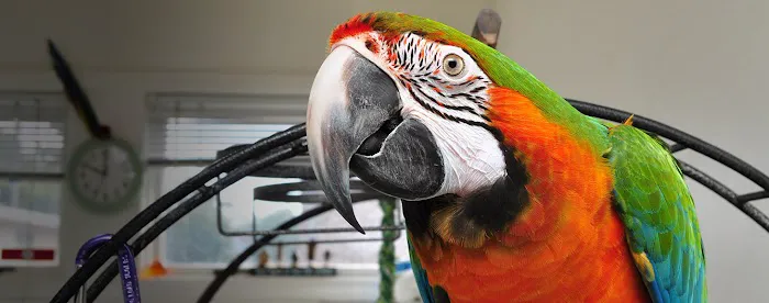 Crossroads Animal Hospital Picture 9
