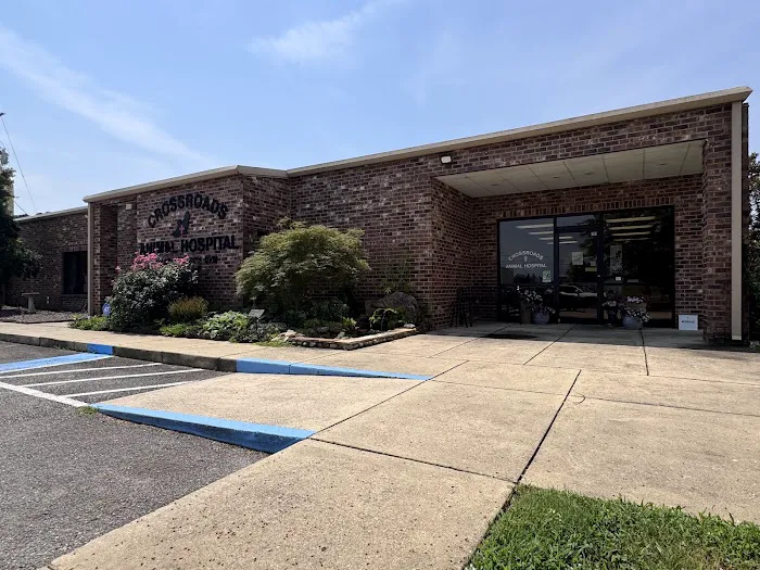 Crossroads Animal Hospital Picture 10