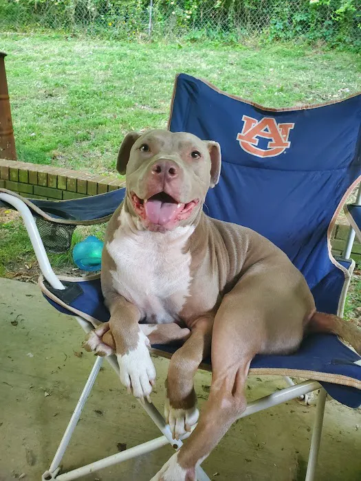 Mercy Animal Hospital: Mc Kim Brandon DVM Picture 3