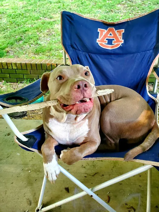 Mercy Animal Hospital: Mc Kim Brandon DVM Picture 4