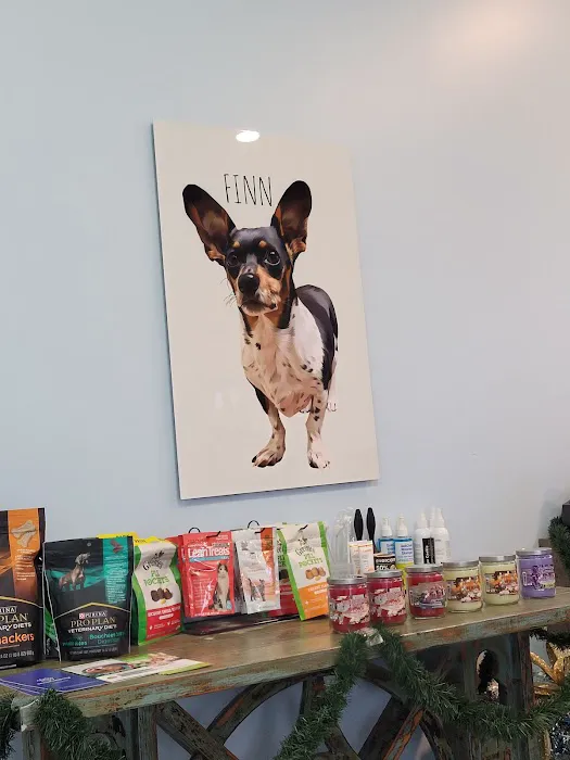 Mercy Animal Hospital Picture 4