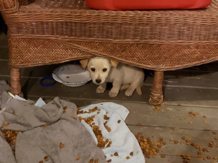 Mercy Animal Hospital Picture 5